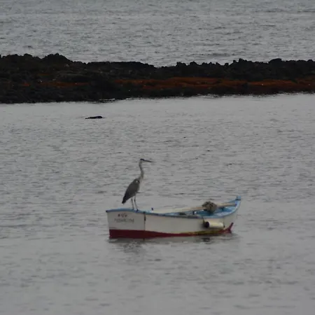 Holiday home Ocean Sunshine
