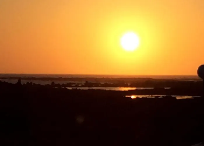 Ocean Sunshine * אורסולה